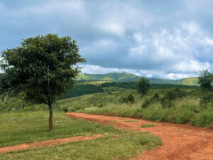 alt=’A dirt road winding through green hills with a tree in the foreground and cloudy skies above'