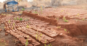 alt=’An outdoor brick drying area with red bricks spread across the ground, some green plants growing between them'