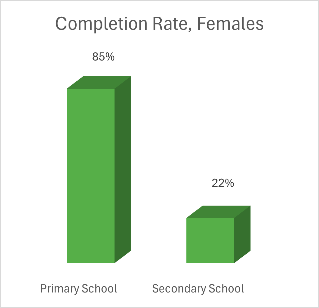 alt=’Chart illustrating female education completion rates in Malawi, with 85% for primary school and 22% for secondary school.’