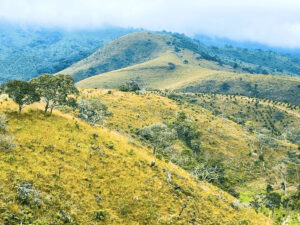 alt=’A view of hilly terrain with sparse vegetation and mist-covered mountains in the background'