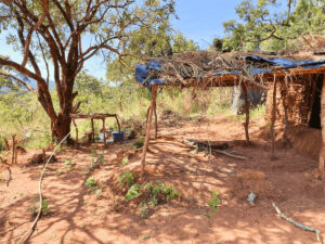 alt=’A rustic shelter with a thatched roof, supported by wooden poles, surrounded by trees and dry, dusty ground'